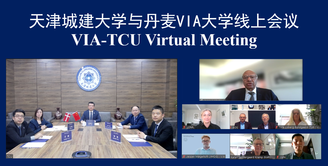 Virtual Meeting between Tia...